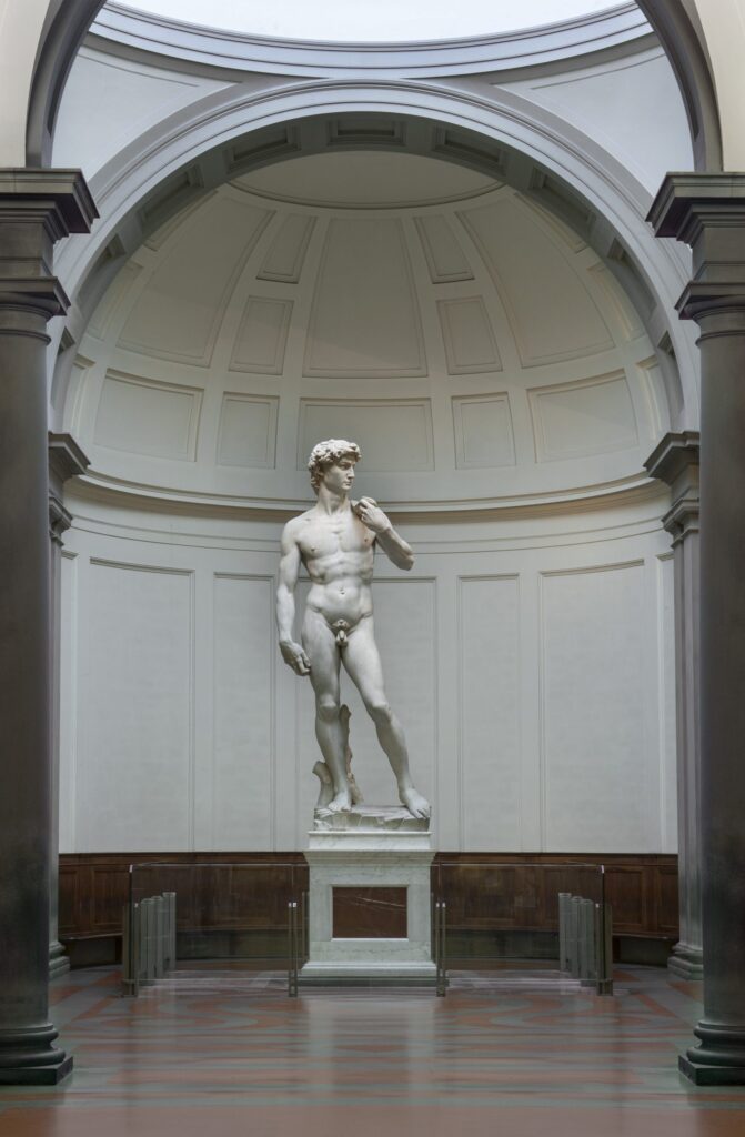 David di Michelangelo, Galleria dell'Accademia di Firenze