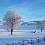 Lago Laceno una domenica sulla neve